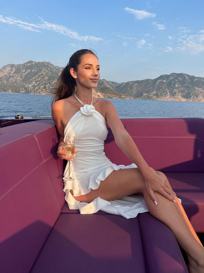 Dasha