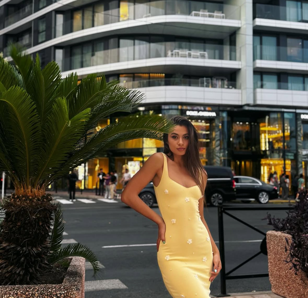 Selin D