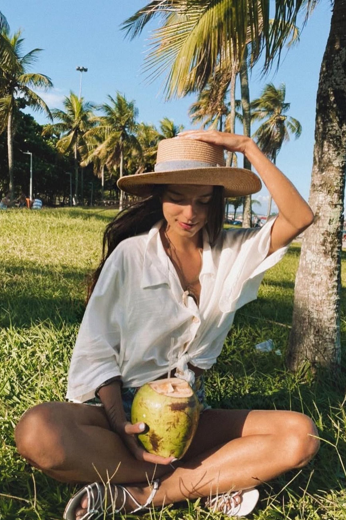 Sophia